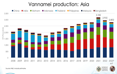 Slowdown In Global Shrimp Production Coming In First Half Of 2023