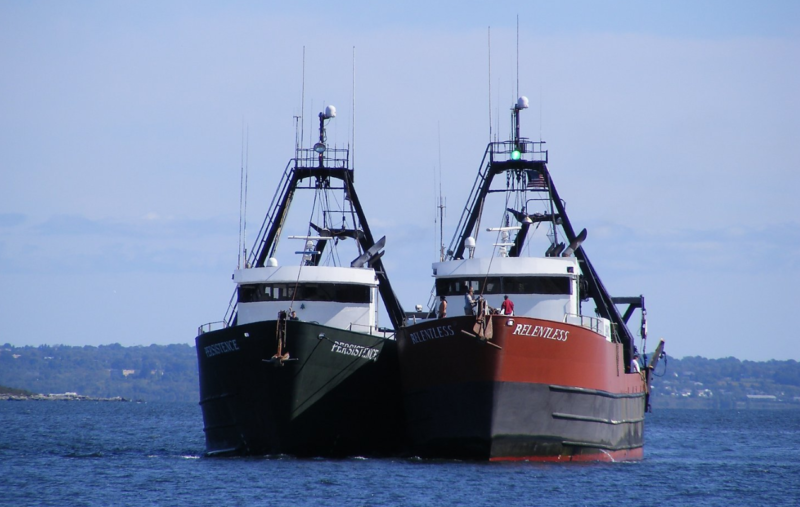 New study Northeast squid fishery lands 99 million 2,500 jobs