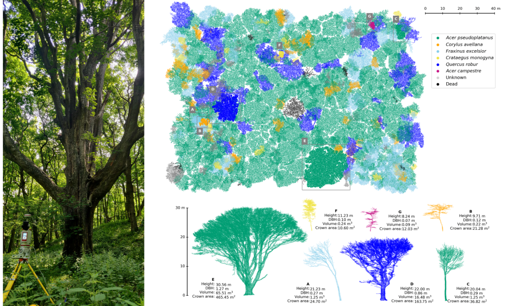 Side-by-side of RIEGL scanner in Wytham Woods and resulting point clouds