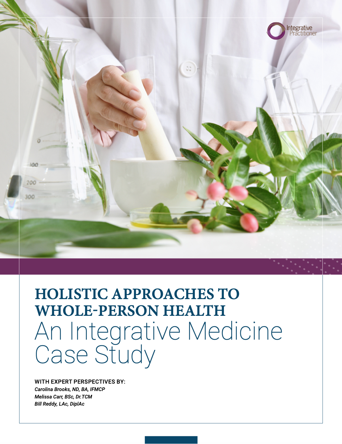 what is a holistic case study