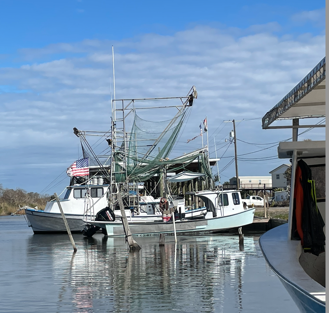Fishing Behind The Shrimp Boats?
