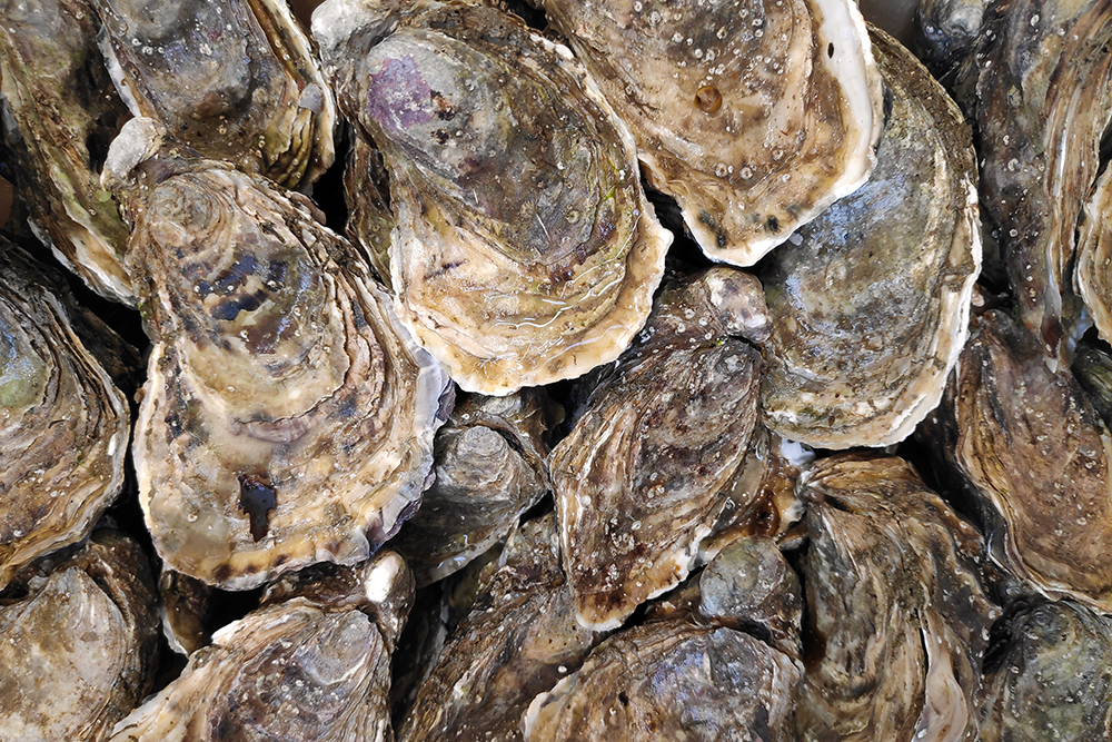 20 years of oysters Lucky break helps put Rappahannock Oyster Co. on