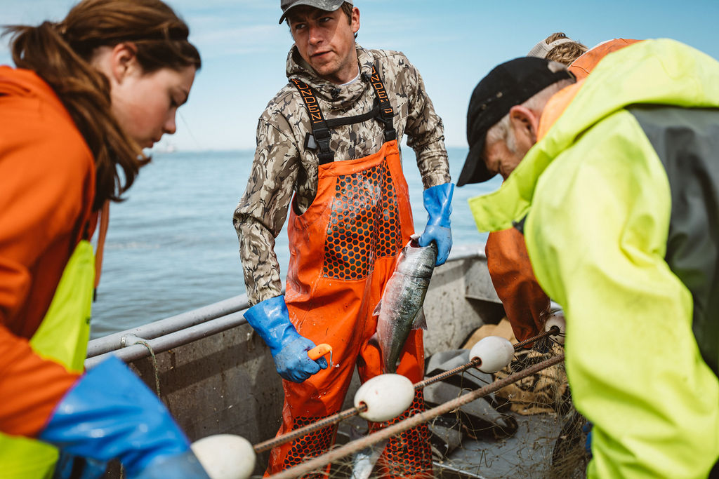 Through the Lens with Ben Matthews from Bristol Bay salmon to