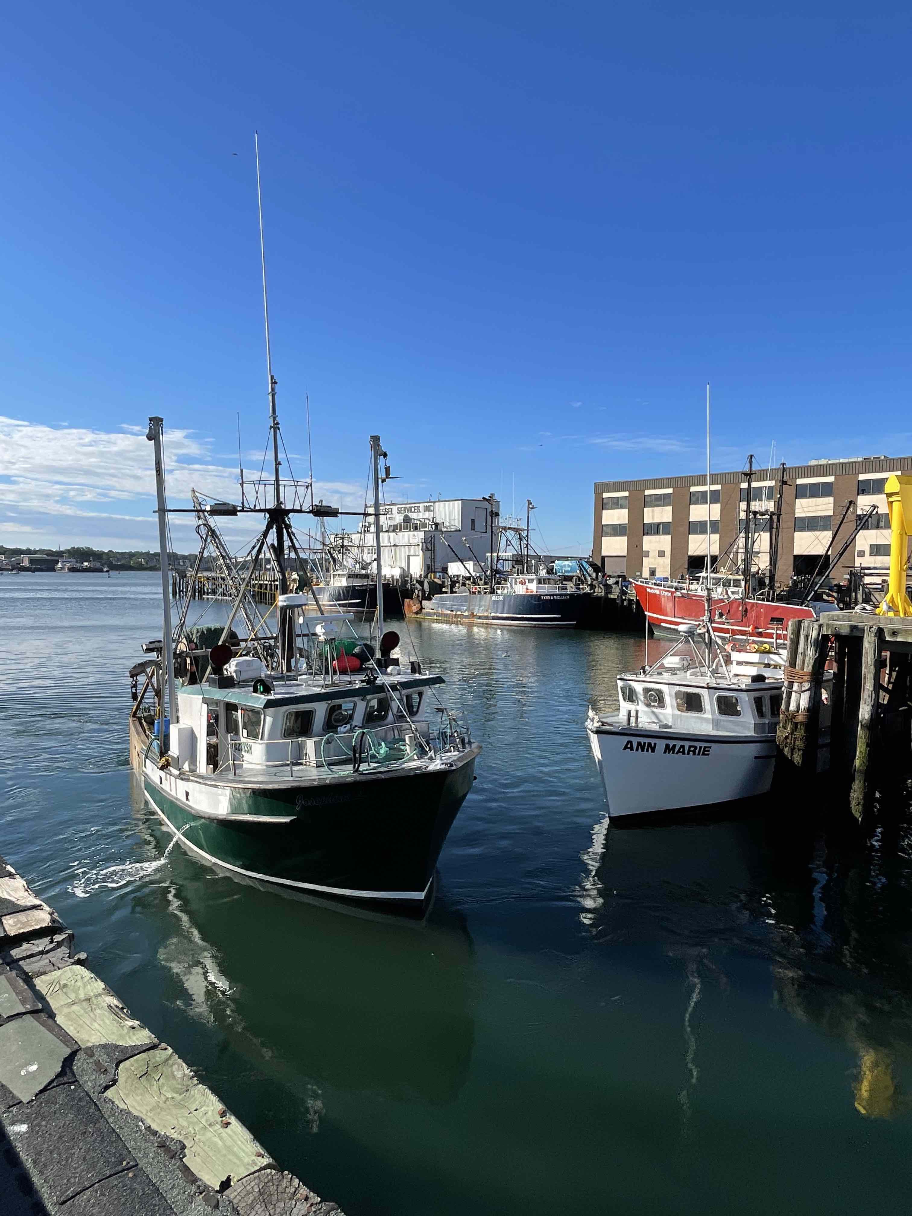 How to buy seafood off the boat (dock sales) — Monterey Bay Fisheries Trust