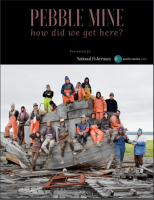 Pebble Mine Report