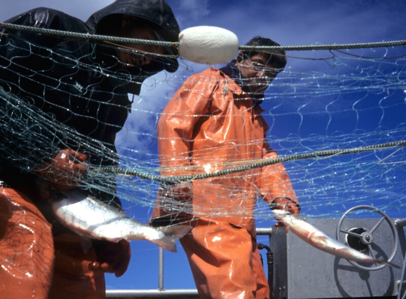 Wesley Loy | National Fisherman