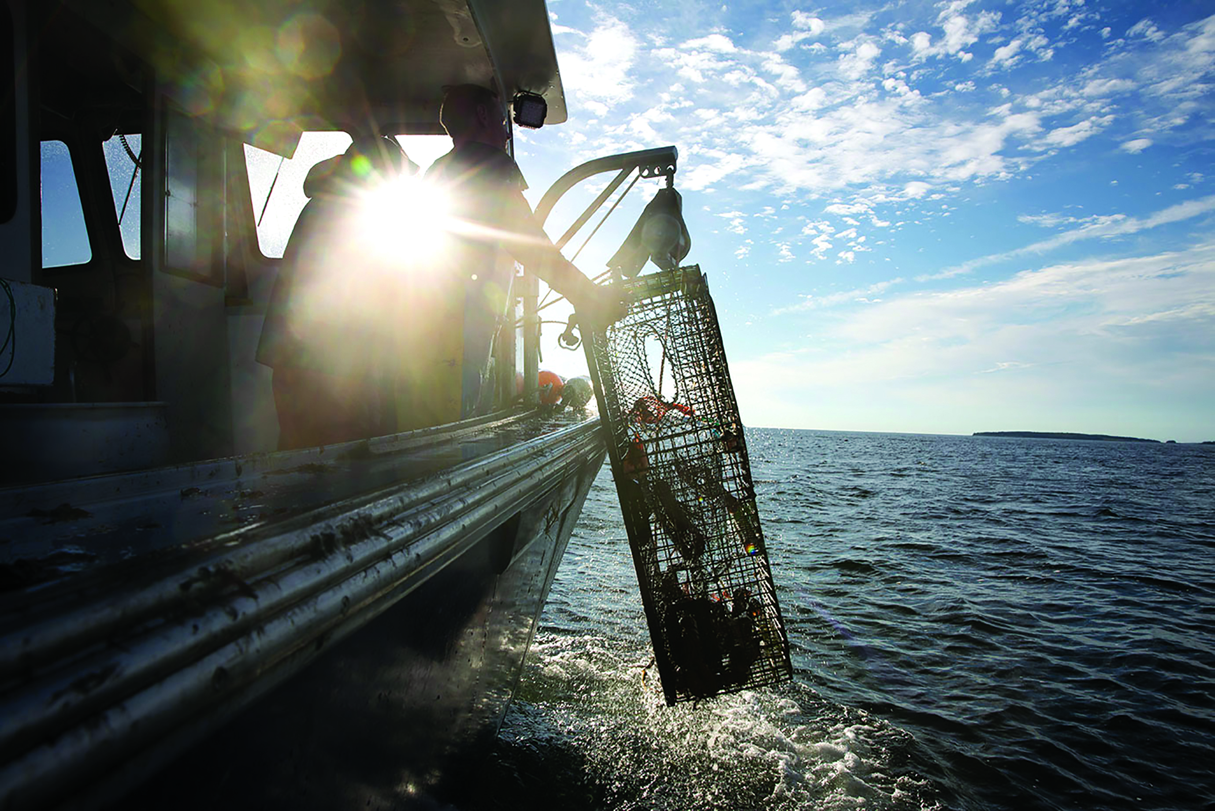 A Complicated Battle in the Gulf of Maine Threatens to Take Lobster Off the  Menu