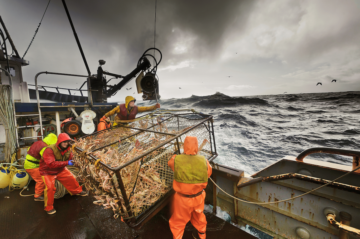 Bering Sea crabbers talk shutdown, facing biomass disaster head on