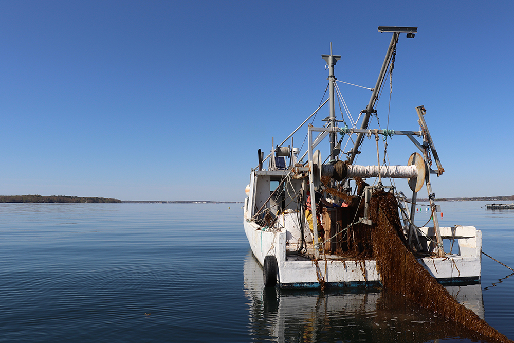 Better connecting the fishing and aquaculture communities in Maine and ...
