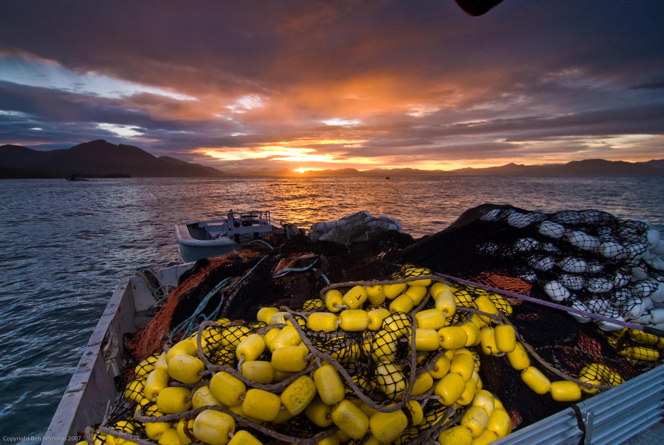 Alaska seeks inspiration to rekindle Togiak herring fishery National