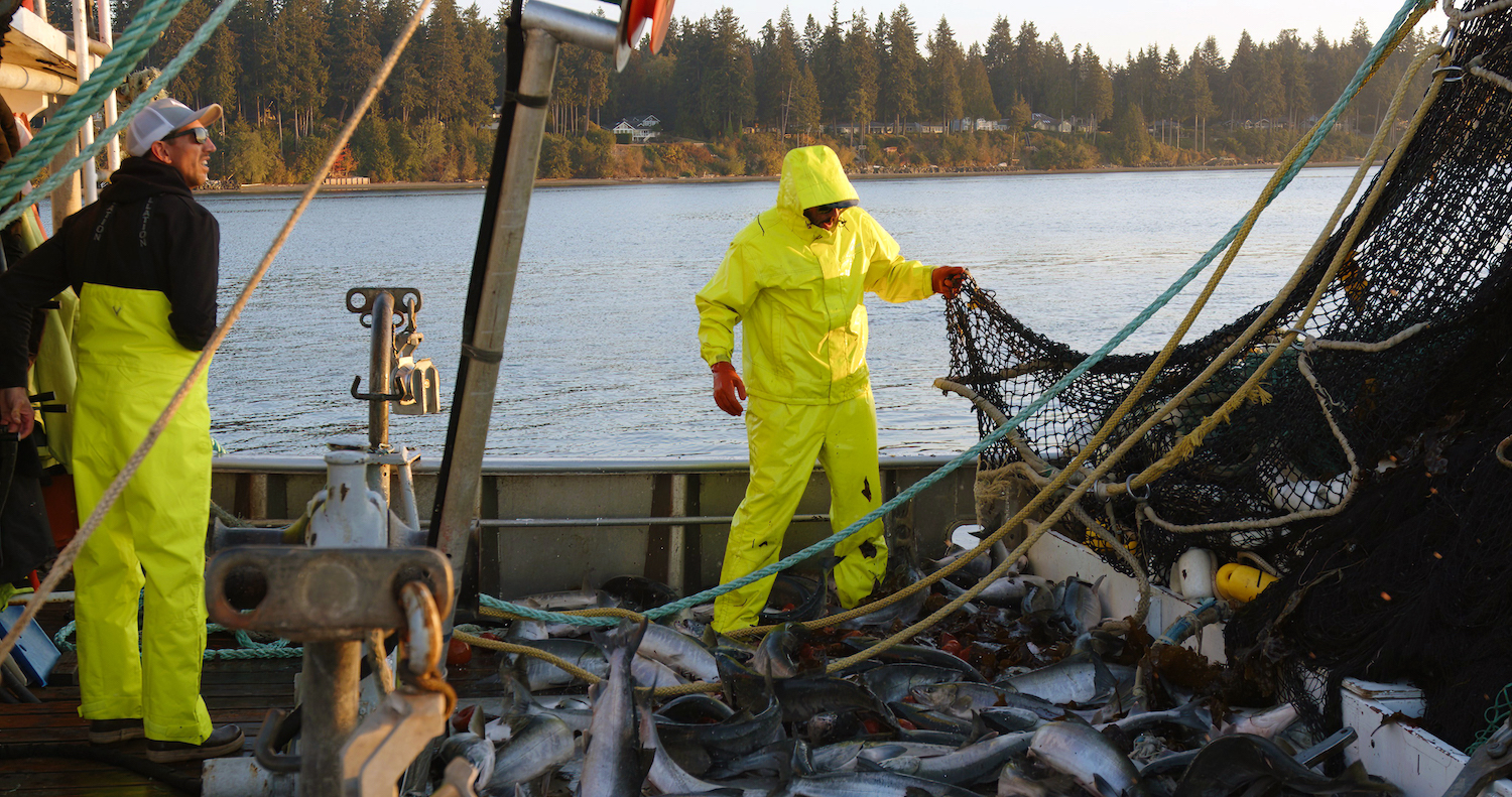 Your Guide to the Washington 2023 Salmon Fishing Seasons – Marine Areas