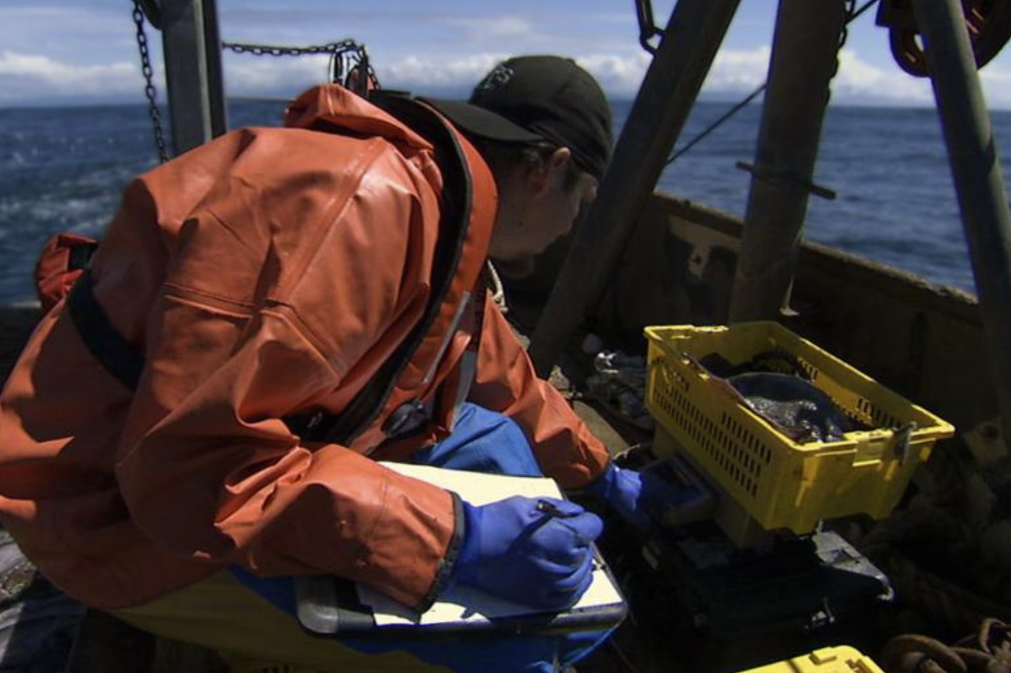 How ORCA can help NOAA Fisheries observers