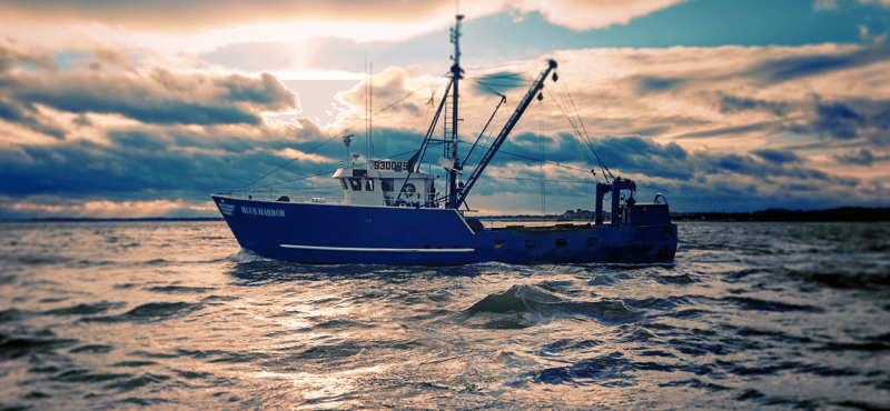 Photo courtesy of Blue Harvest