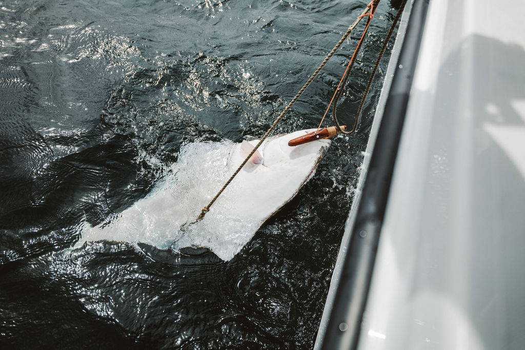 Through the Lens with Ben Matthews from Bristol Bay salmon to