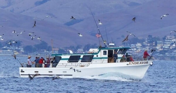 Fishing charter boat owner fined for exceeding legal fish limits