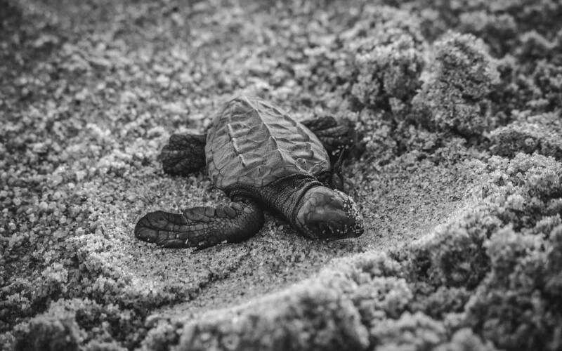 Photo by Alfonso Navarro on Unsplash