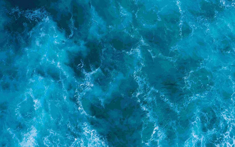 Photo by Curioso Photography on Unsplash