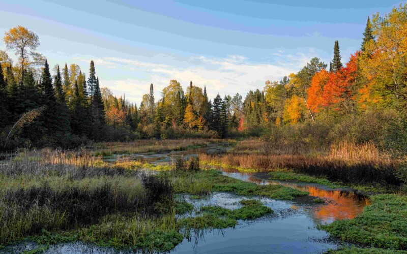 Photo by Dave Hoefler on Unsplash