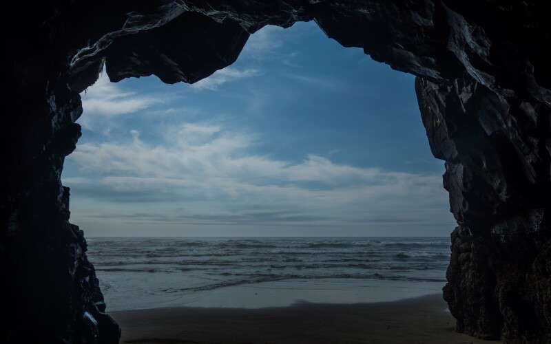 Photo by Dylan Freedom on Unsplash