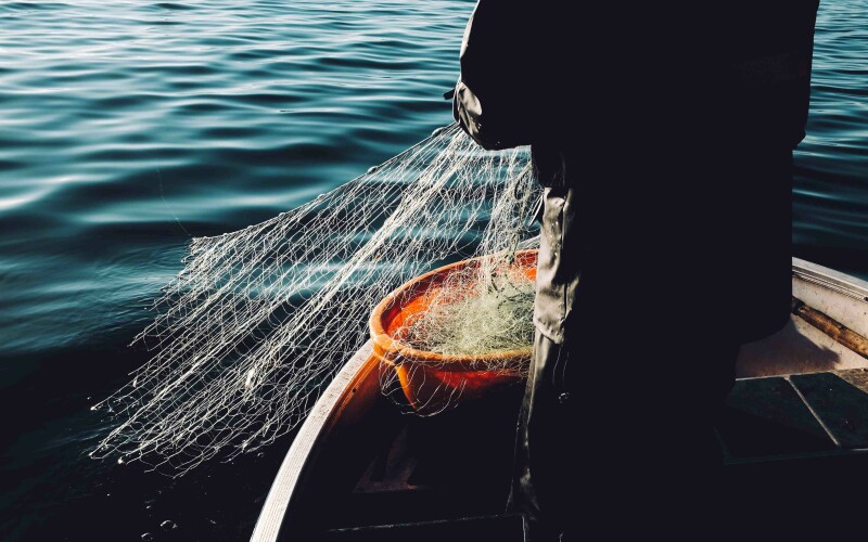 Photo by Fredrik Öhlander on Unsplash