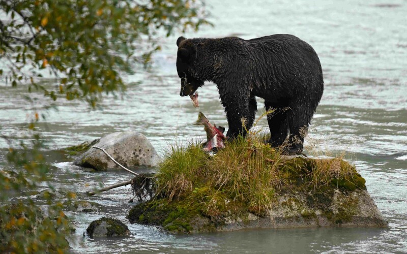 Photo by Greg Johnson on Unsplash