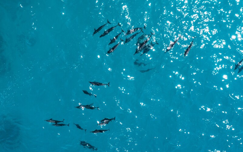 Photo by Ishan @seefromthesky on Unsplash