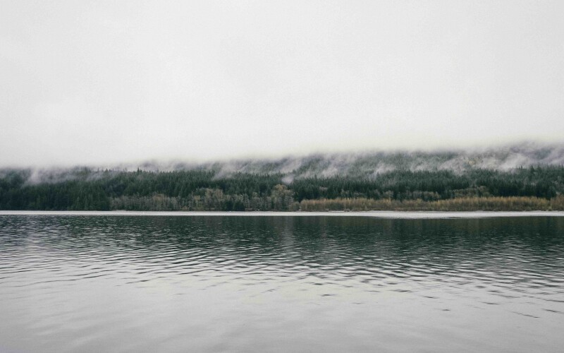 Photo by John Salzarulo on Unsplash