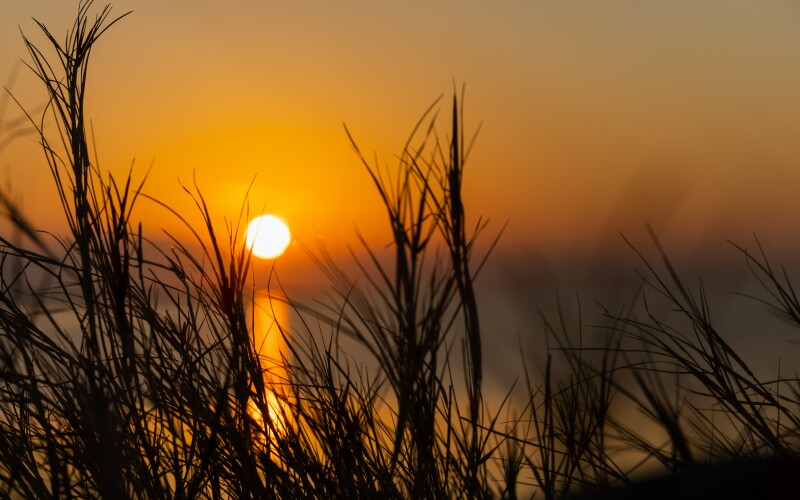 Photo by Michael Bowman on Unsplash