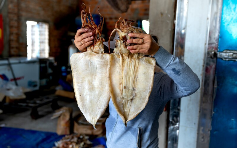 Chinese squid fleet dodging Peruvian regulation | National Fisherman