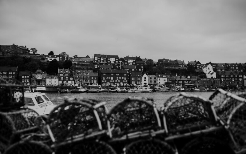 Photo by Phil Hearing on Unsplash