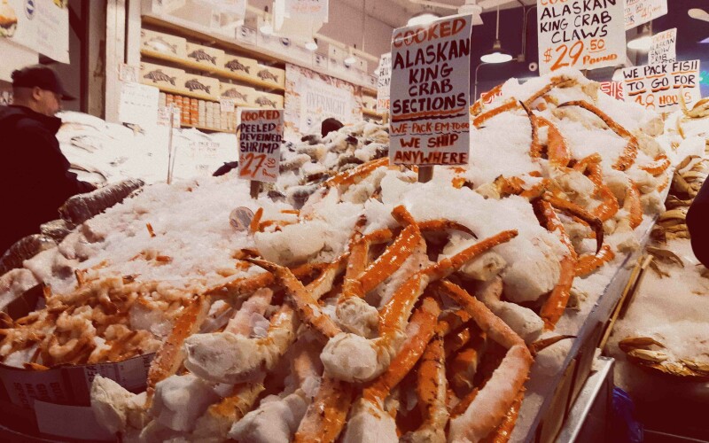 Photo by shekina on Unsplash