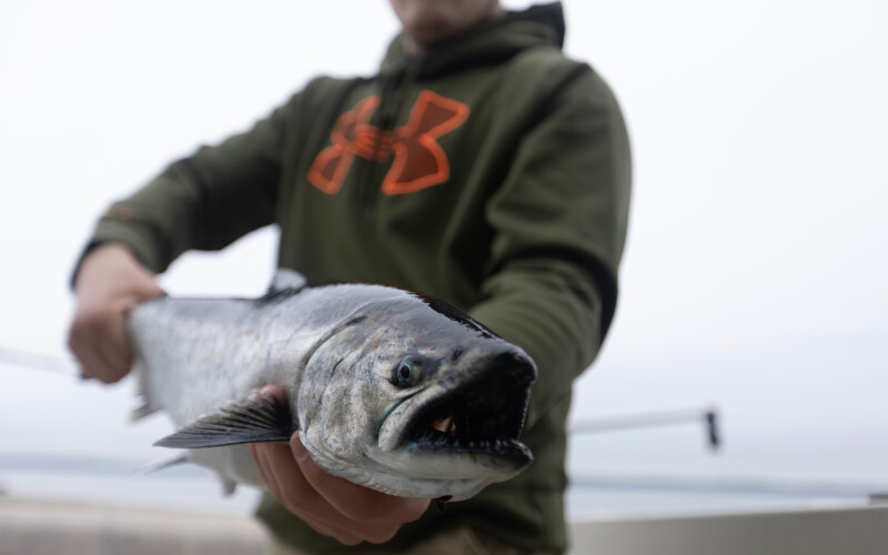 Federal aid for Oregon salmon fishermen and West Coast