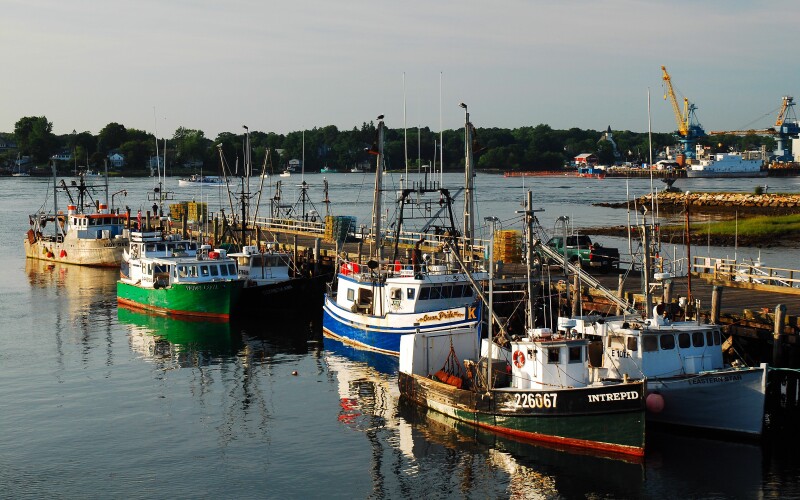 Federal At Sea Monitors Have New England Groundfishermen Pushing Back   Crop.shutterstock 1623405826 .medium Cropped.800x500 