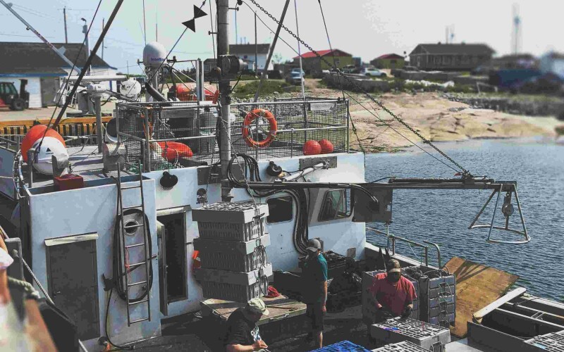 Photo by Sigmund on Unsplash