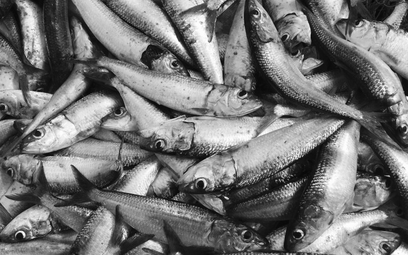 Photo by SIVA T on Unsplash