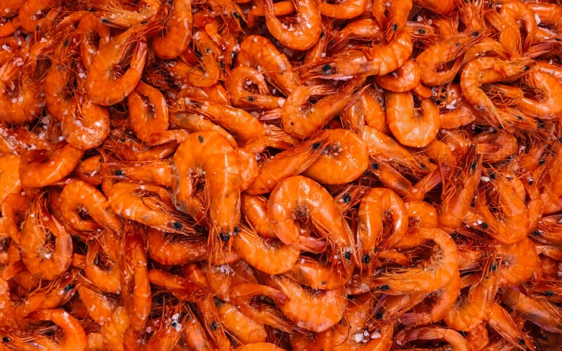 Alabama Legislature passes seafood labeling bill
