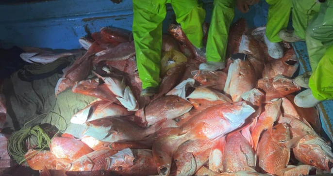 Red Snapper Fishing in Texas for 2024