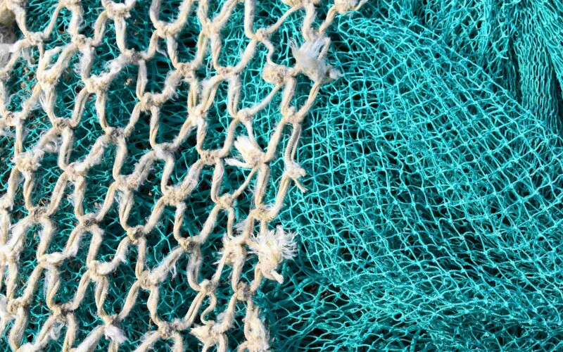Pogy spills place menhaden industry in spotlight