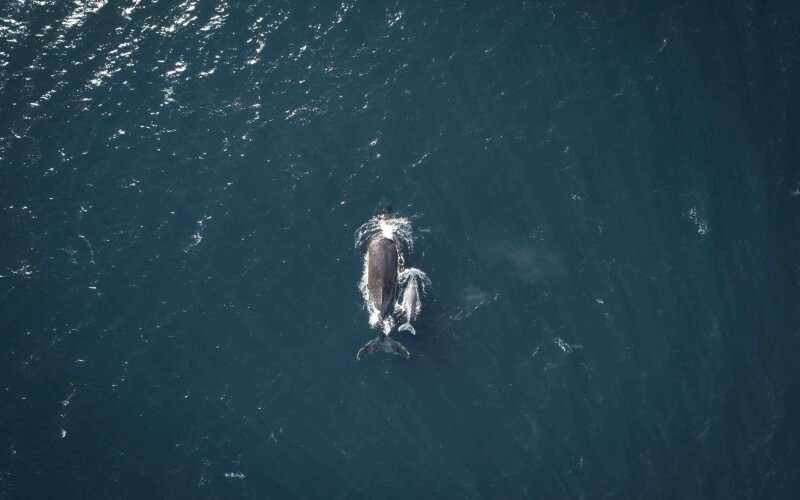 Photo courtesy of Will Turner on Unsplash