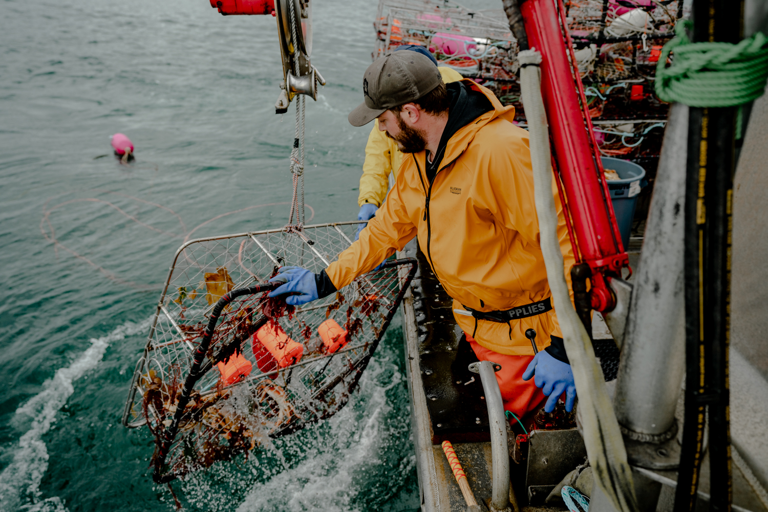 Commercial Fishing Photo Stories: Dungeness Crabbing- Puget Sound ...