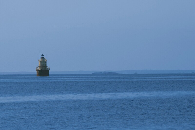 Photo by David Trinks on Unsplash