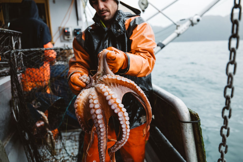 Through the Lens with Ben Matthews from Bristol Bay salmon to