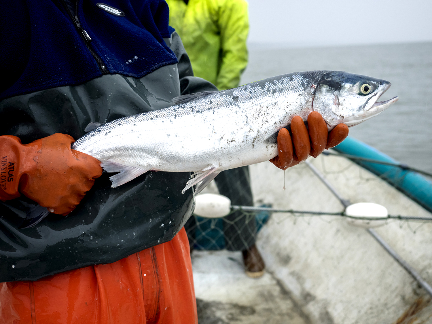Cook Inlet Personal Use Salmon Fishery, Alaska Department of Fish and Game