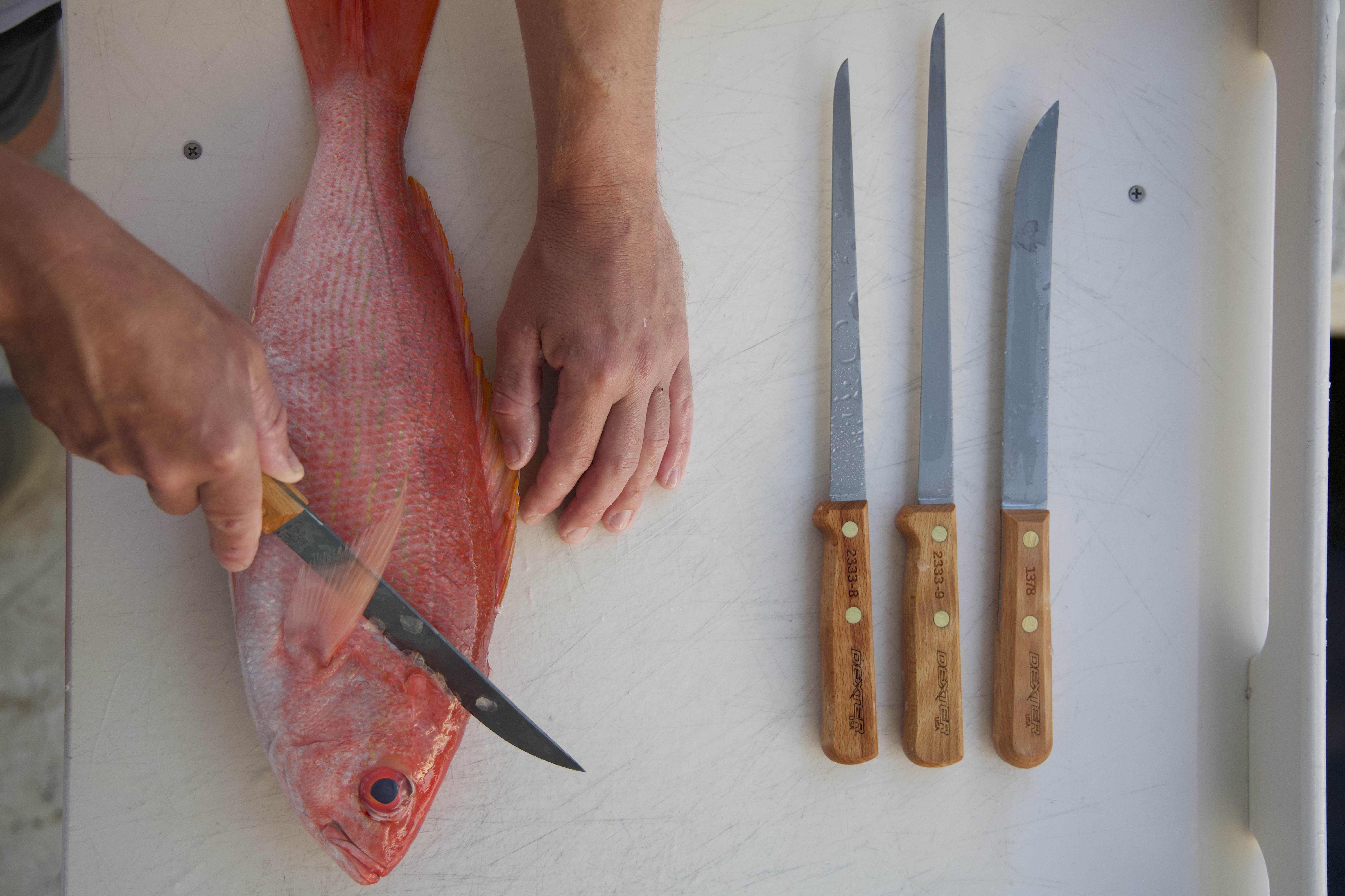 8 Best Fish Fillet Knives of 2023