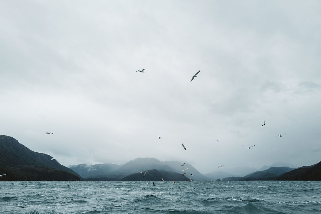 Through the Lens with Ben Matthews from Bristol Bay salmon to