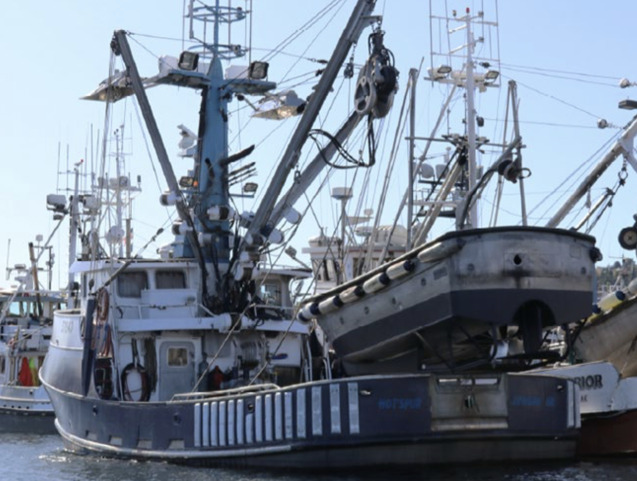 Subsidy opposition gathers momentum | News | World Fishing