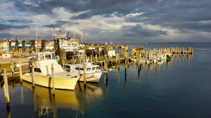 Photo by Gene Gallin on Unsplash