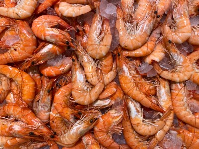 Photo by John Cameron on Unsplash