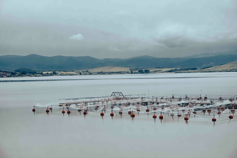 Photo by Lucut Razvan on Unsplash