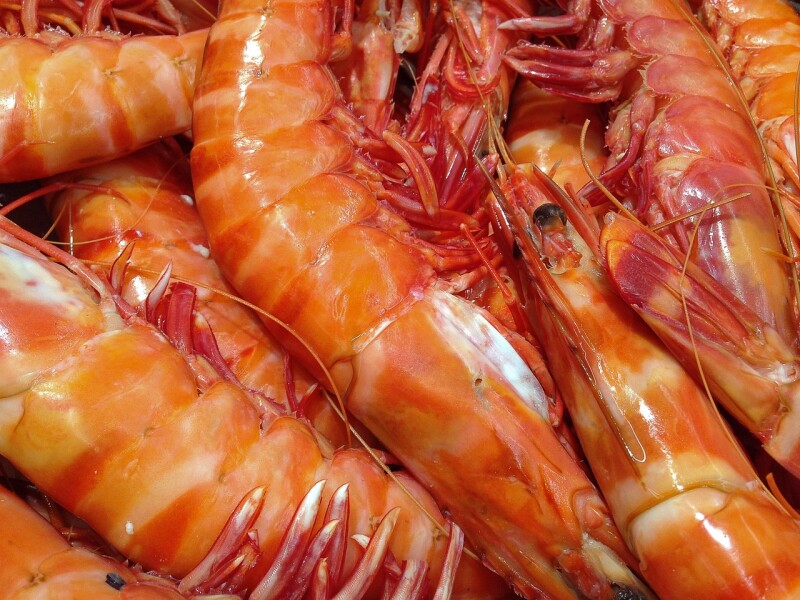 Gulf of Mexico shrimp fishery wins certification | National Fisherman